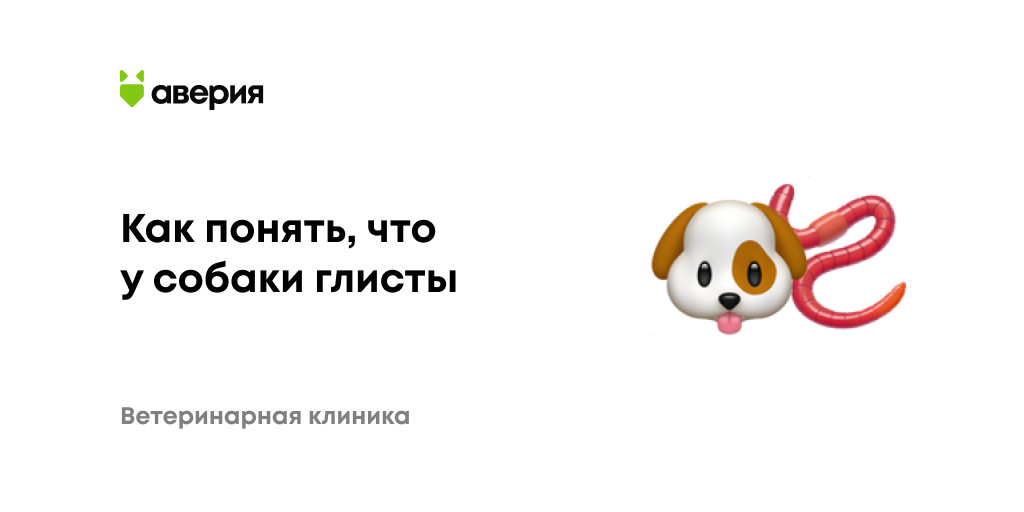 Как выглядят гельминты у собак Как понять, что у собаки глисты: основные признаки и симптомы