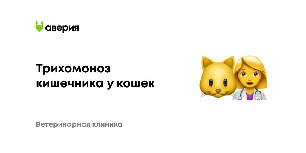 Как выглядит трихомоноз у кошек Трихомоноз (трихомониаз) кишечника у кошек