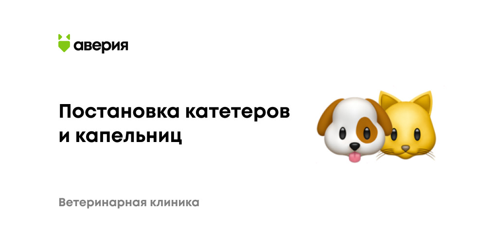 Постановка внутривенного катетера собакам в Санкт-Петербурге