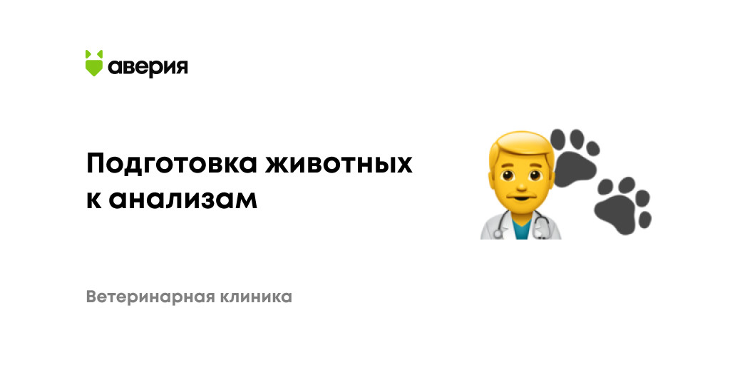 Подготовка кошек и собак к анализам