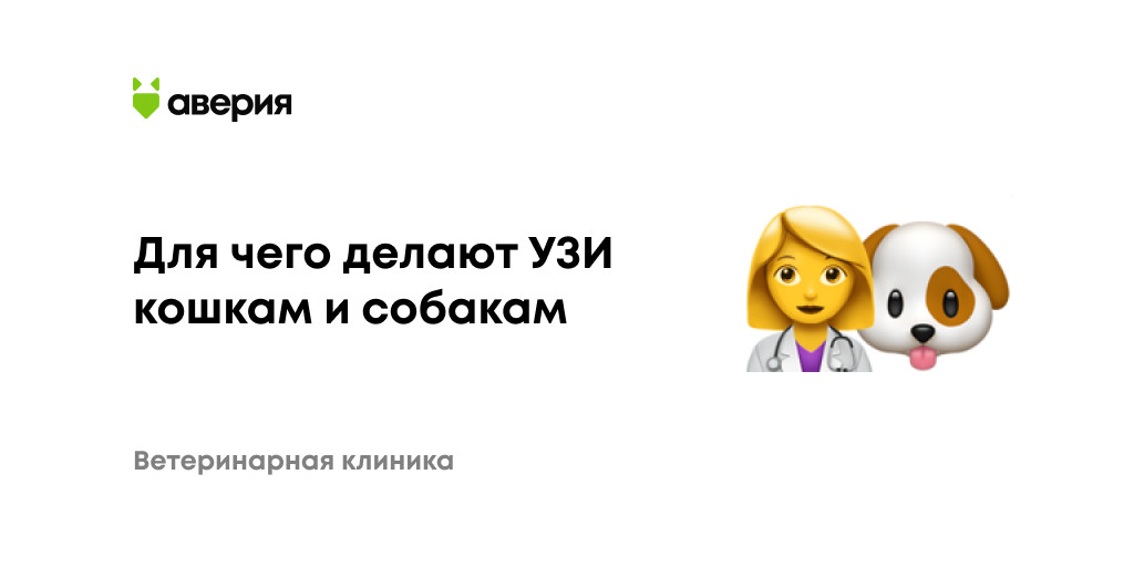 Для чего делают УЗИ кошкам и собакам