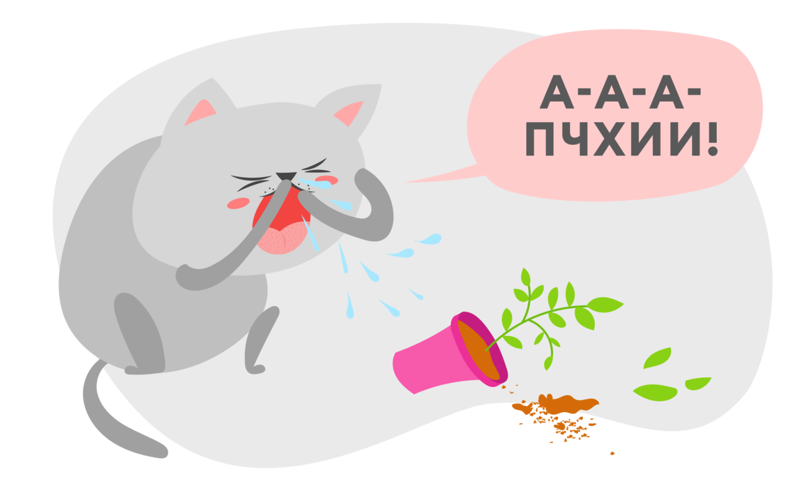 Почему кошка чихает