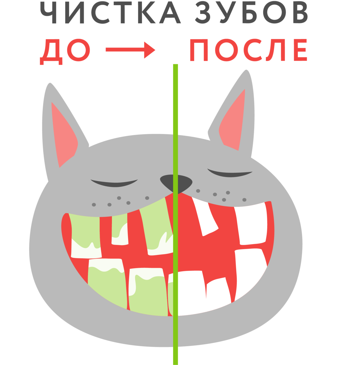 Чистка зубов собаке цена в Волгограде