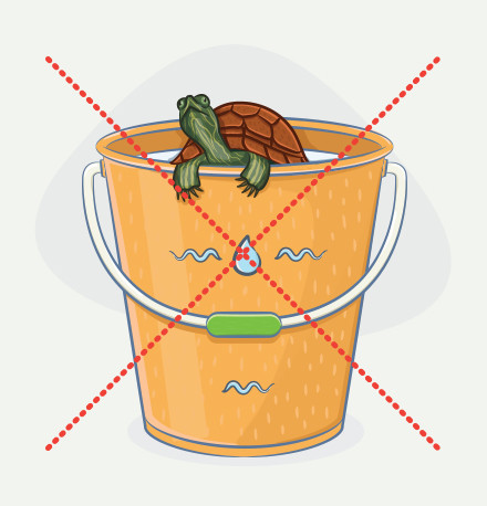 Уход и условия содержания красноухой черепахи в домашних условиях